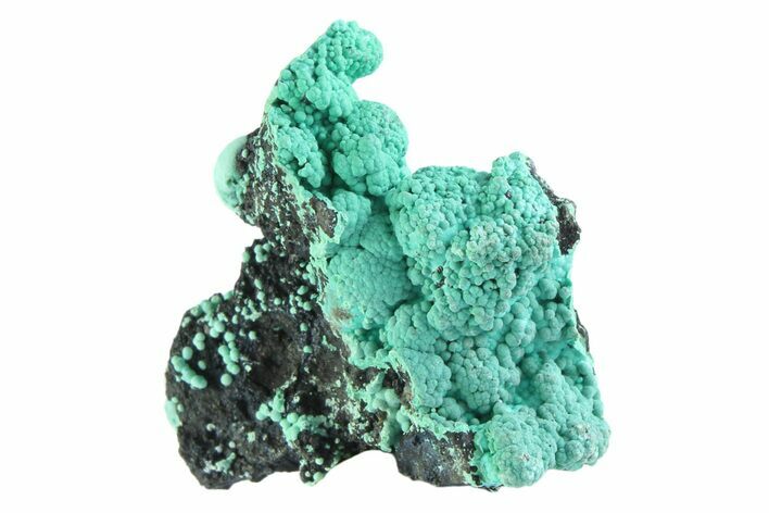 Blue-Green Botryoidal Chrysocolla - Planet Mine, Arizona #358274